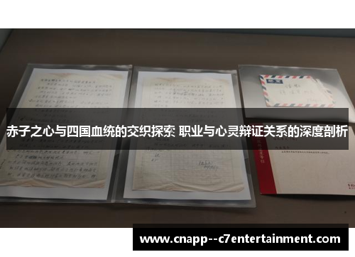 赤子之心与四国血统的交织探索 职业与心灵辩证关系的深度剖析