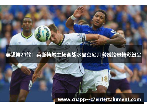 英超第21轮:莱斯特城主场迎战水晶宫展开激烈较量精彩纷呈 英超第21轮:莱斯特城主场迎战水晶宫展开激烈较量精彩纷呈