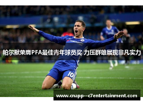 帕尔默荣膺PFA最佳青年球员奖 力压群雄展现非凡实力