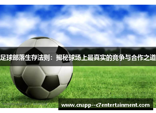 足球部落生存法则:揭秘球场上最真实的竞争与合作之道 足球部落生存法则:揭秘球场上最真实的竞争与合作之道